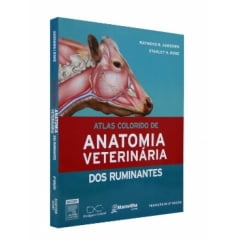 LIVRO KIT VETERINáRIA GRANDE E PEQUENO PORTE E PATOLOGIA 21 VOLUMES